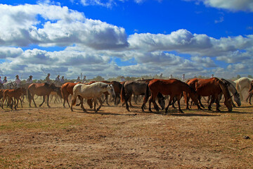 Saca de las yeguas historical cultural events in Andalusia, Spain