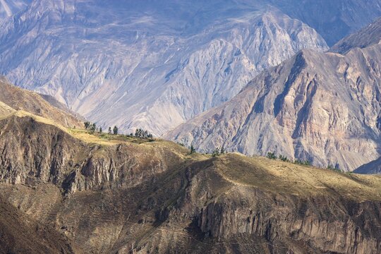 Colca Canyon, Peru