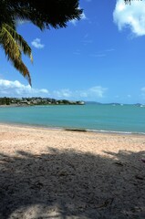 Fototapeta na wymiar tropical beach with palm trees airlie beach australia