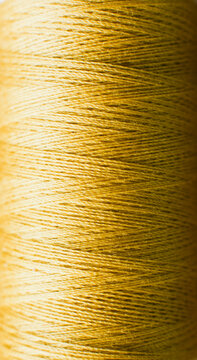 Close up spool of gold cotton thread