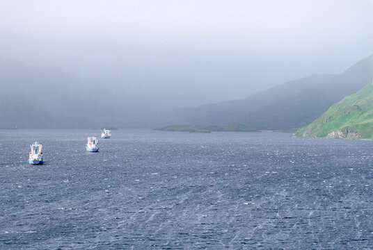 Cargo transport vessels waiting in harbor for commercially-caught frozen fish
