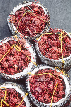 Brailers full of Golden king crab sitting on a dock of a fish processing plant