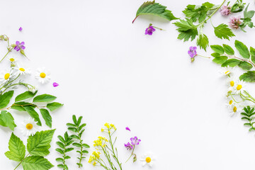 Fresh medicinal herbs and wild flowers top view © 9dreamstudio
