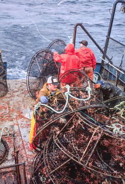 Commercial fishermen launching black cod (sablefish) pots