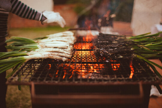 Typical catalonian cal&Ocirc;&oslash;&Omega;_ots barbacue