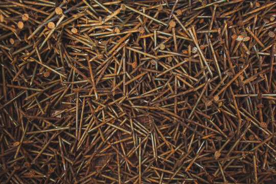 Texture detail of rusty old nails at construction site