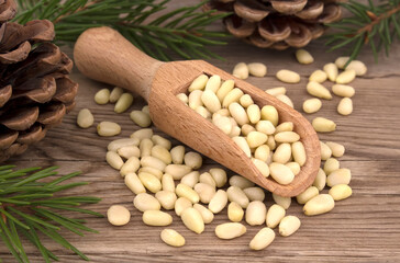 wooden scoop with pine nuts with branches and cones on a wooden table