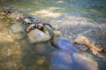 Rocks Near a Stream Nature 