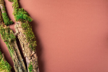 Creative composition for design with bark tree, moss on brown background for organic cosmetic...