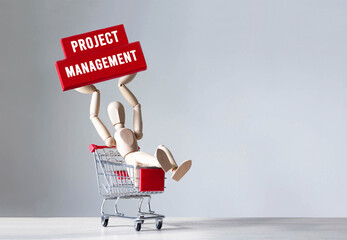 Wooden man hold a wooden block with word Project Management, concept