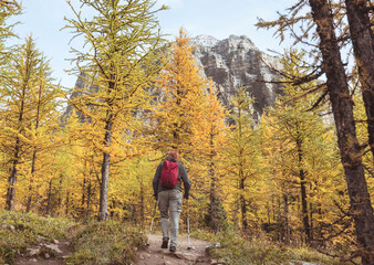 Fototapeta premium Autumn in Canada