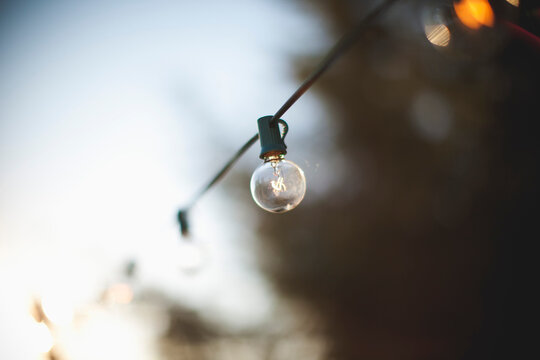 Edison Bulb