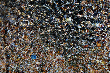 Seaside. Sea bottom. Shell rock.