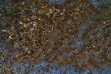 Seaside. Sea bottom. Shell rock.