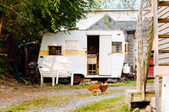 chickens outside camper coop