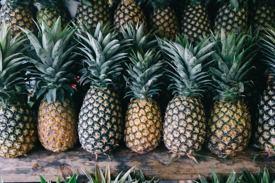 Row pineapples