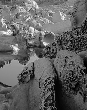 sandstone formations on Pacific coast at Salt Point State Park sculpted pocketed erosional