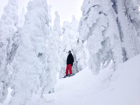 Man on Snowboard Surrounded by Snow Covered Trees