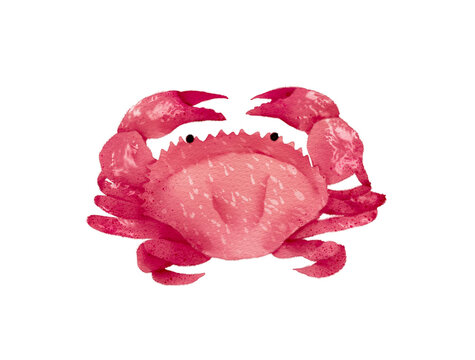 Watercolor Illustration of Crab, isolated on white background.