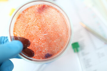 Bio assay of matter