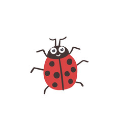 Vector cartoon insect ladybug red black