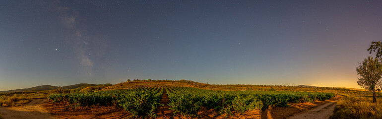 Vineyards on a full moon night, details of the stars and milky way and the vines in summer ready to harvest, Copcepto night photography © JuanFrancisco