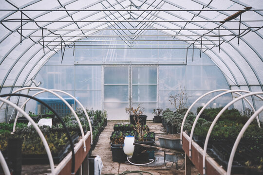 Greenhouse