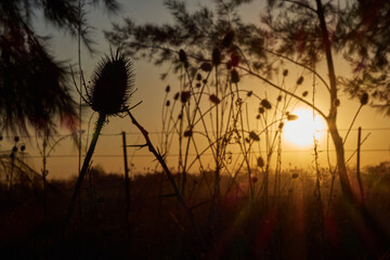 atardecer