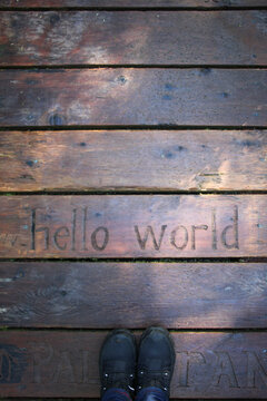 Hello world