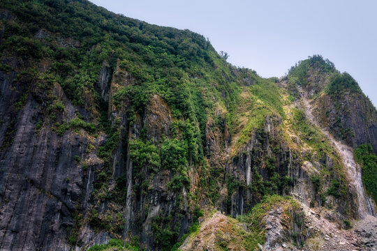 Sheer vertical stone cliffs covered in vegetation on the trail at Franz Josef Glacier Valley walk in Westland  Tai Poutini National Park, Westland District, New Zealand, South Island.