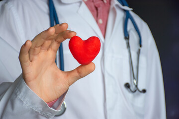 Concept photo of study or diagnosis in cardiology. Doctor cardiologist in white holds in his hand...