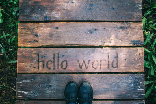 Hello world