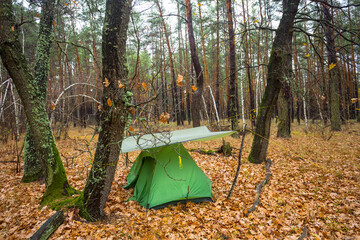 small touristic tent in autumn forest, touristic camp among dry leaves