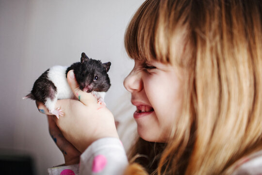 Girl holds his pet guinea pig