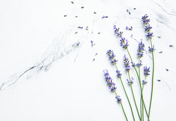 Lavender on a marble background