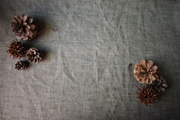 Sweet gum/Liquidambar styraciflua, a spiky ball, Pine cone on a brown cloth with blank. Autumn/winter image.
