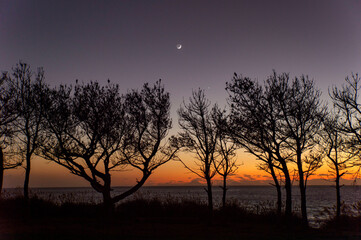 Fototapeta na wymiar 鹿児島県　屋久島のサンゴの浜からの新月とサンセット