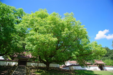 世界最古の庶民のための公立学校  閑谷学校