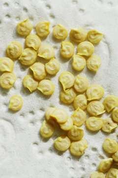 Harvested and dried Bell pepper seeds