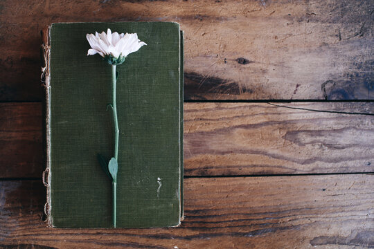 Single flower on vintage green book on wood background - horizontal with copyspace