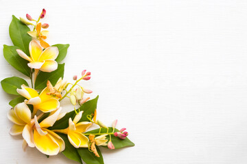 yellow flowers frangipani local flora of asia arrangement flat lay postcard style on background white wooden 