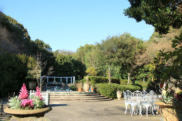神戸・須磨離宮公園の花の庭園