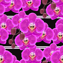 Seamless pattern with pink orchids on black background