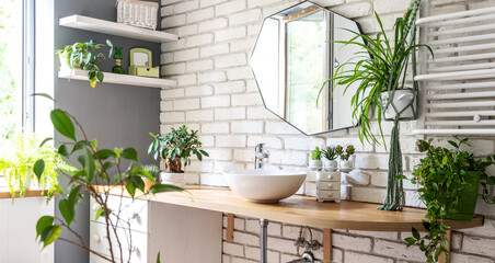 Interior of bathroom with mirror on a white bricky wall, stylish furniture, trendy wash basin and green plants. Houseplant and sp at home. Panoramic.