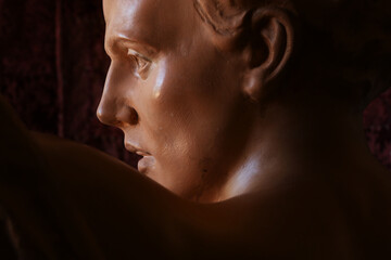 Ritratto di giovane uomo, primo piano di testa in terracotta di provenienza europea, scultura su fondo scuro