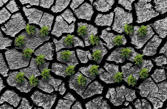 ecology problem of dry lake