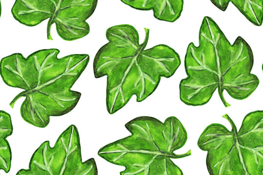 Seamless pattern with large green pumpkin or melon leaves with veins on a white background. Great for textile, wrapping paper, scrapbooking and card design. 
