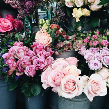 Pink flowers at a florist