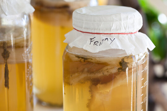 Brew Your Own Kombucha