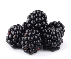 Blackberries isolated on white background. Macro.